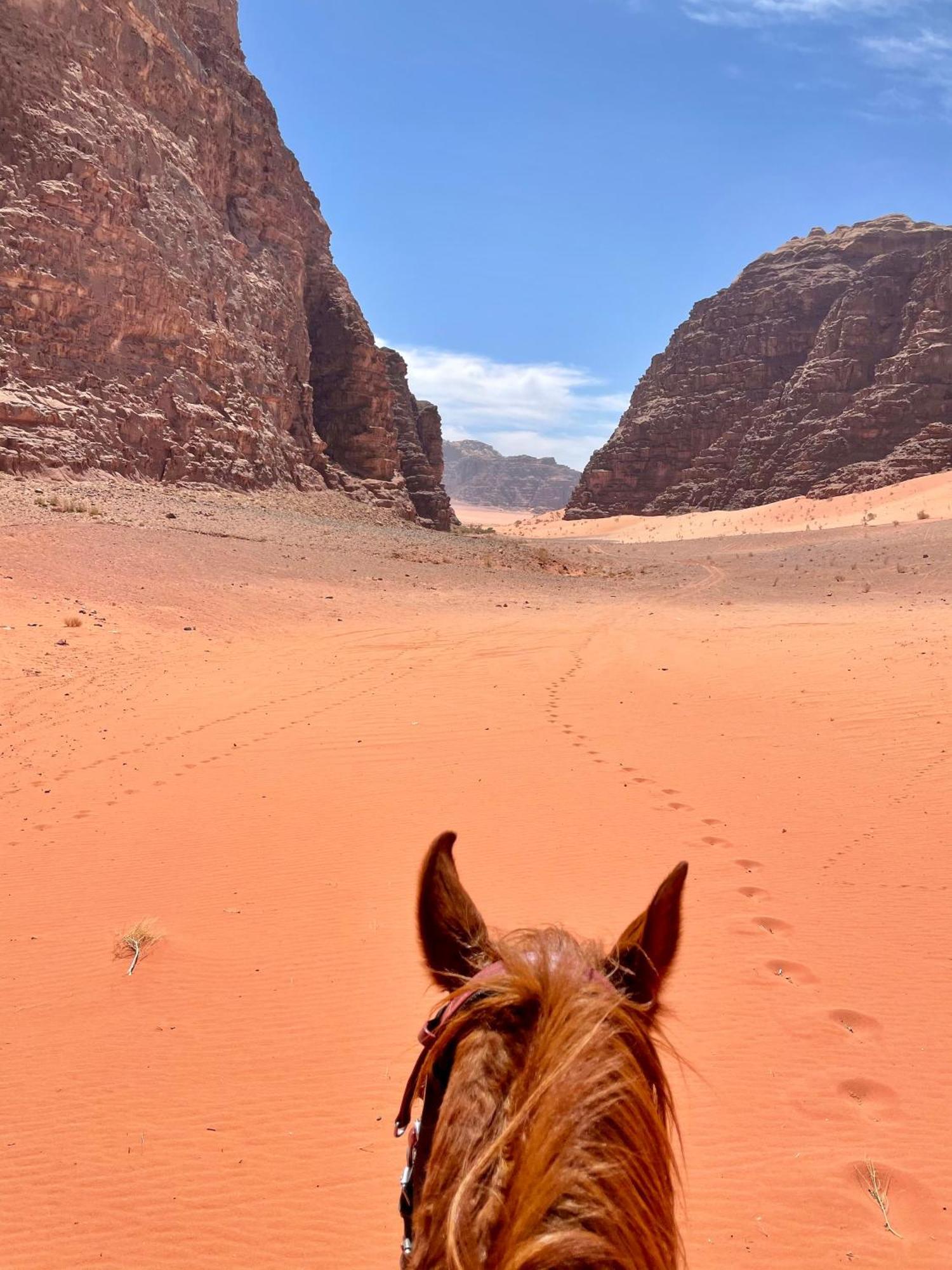 Salameh'S Bedouin Camp Wadi Rum Exterior foto