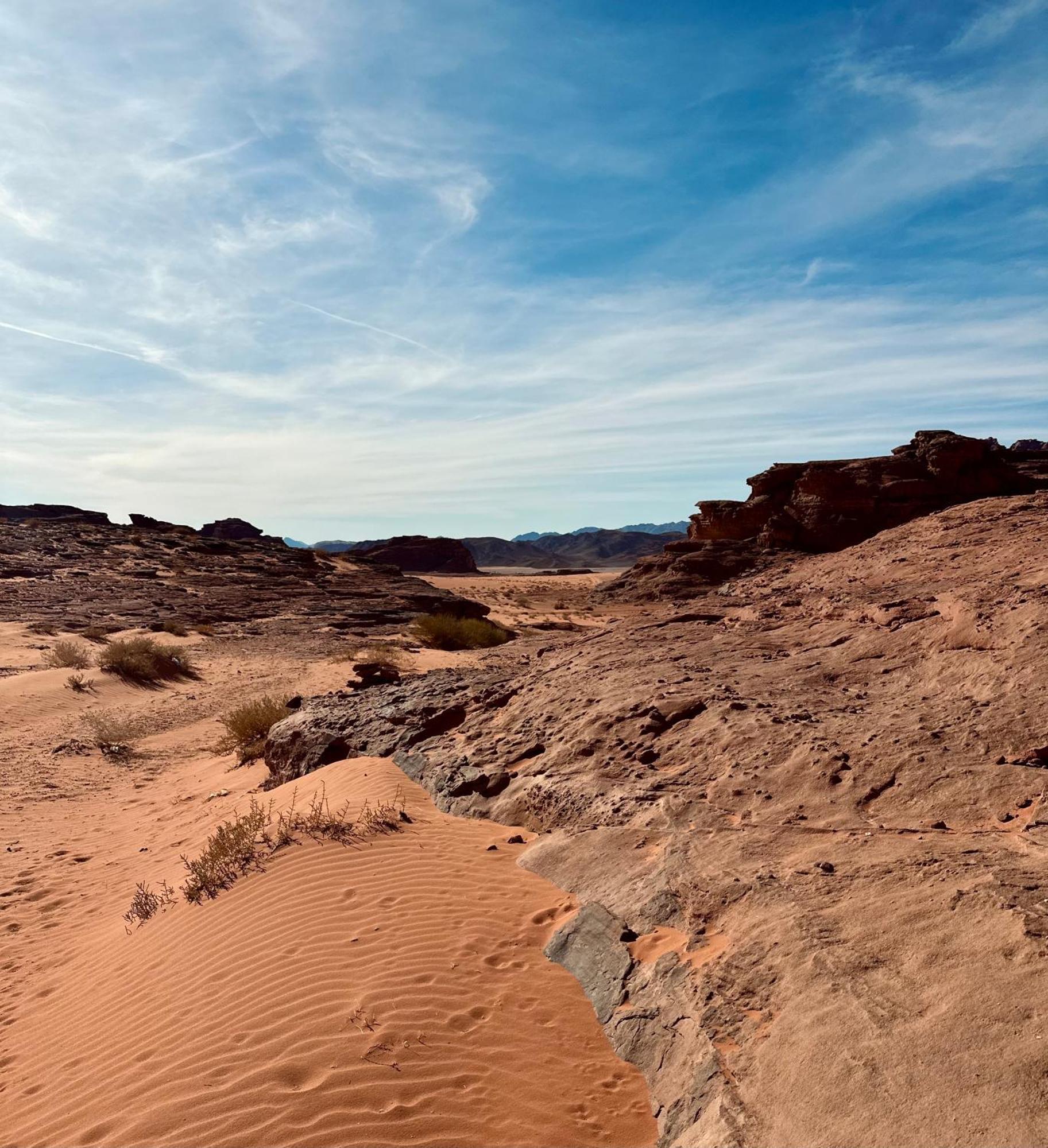 Salameh'S Bedouin Camp Wadi Rum Exterior foto