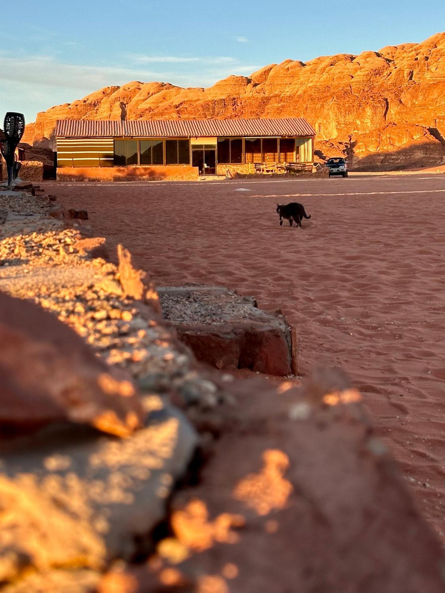 Salameh'S Bedouin Camp Wadi Rum Exterior foto